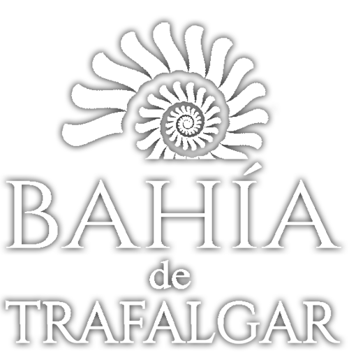 Bahia de Trafalgar Apartments, Strand von Zahora